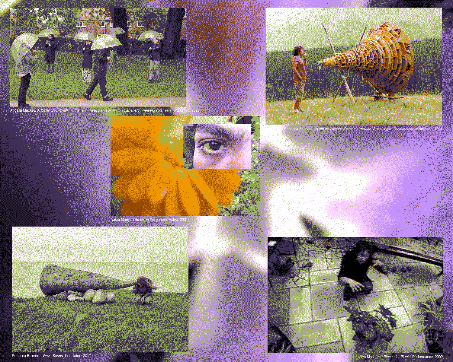 collage of to sense the earth before the end of the world